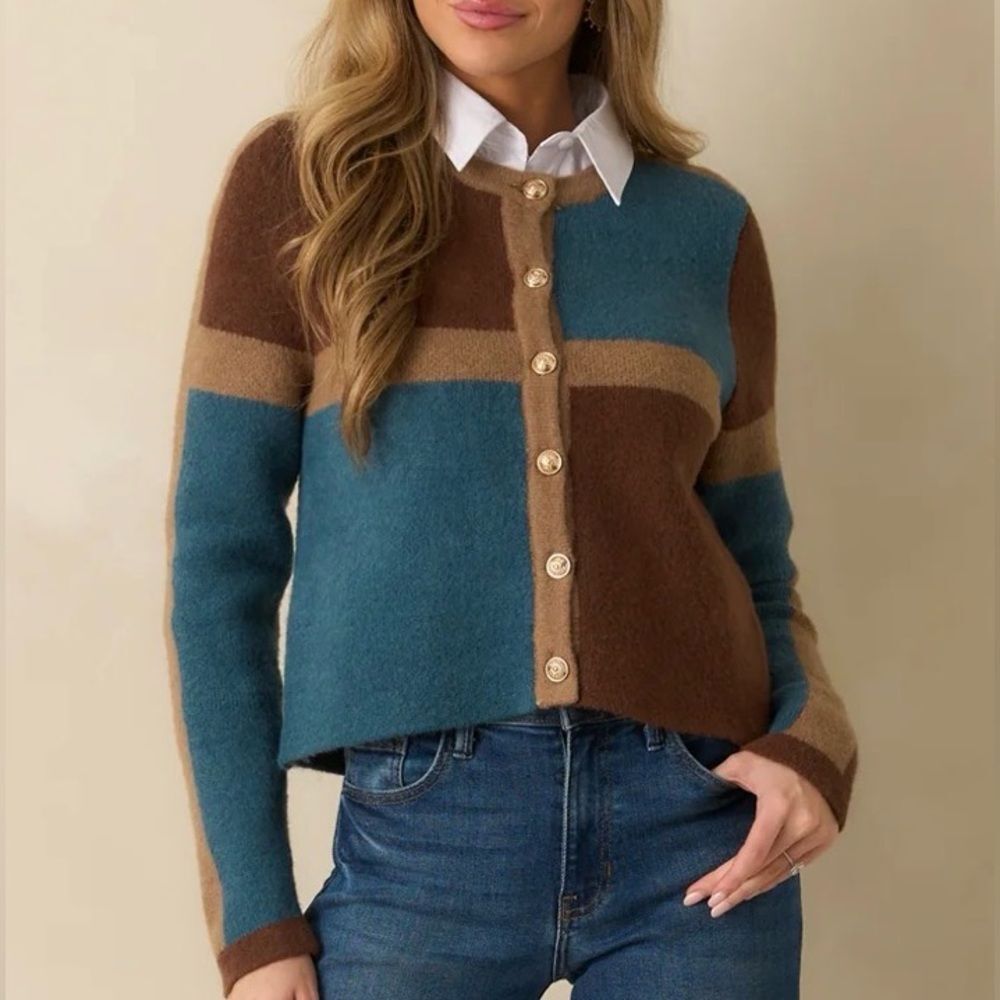THML Colorblock Cardigan - Brown, Teal & Tan size large